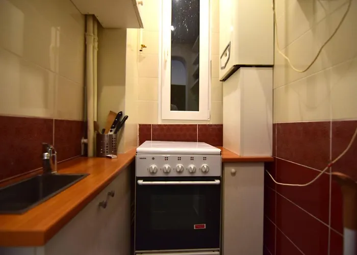 Resedinta Lui Calin - Calea Victoriei Near Royal Palace *