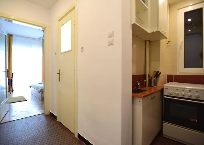 Resedinta Lui Calin - Calea Victoriei Near Royal Palace Apartament Bucureşti